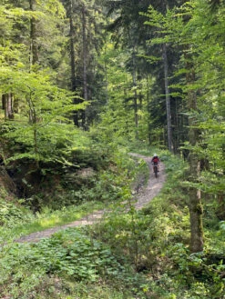 Fox Racing Speedframe Helmet Mips - Radhelm -VeloParts Verkaufs-Shop fox racing speedframe helmet mips radhelm 23cd007fa901dd3a06a79194a3b42c4b 1